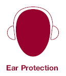 ear